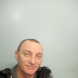 ���������, 38 ���, ���������