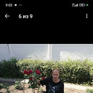 ���������, 37 ���, �����-���������