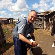 ����, 55 ���, ���������