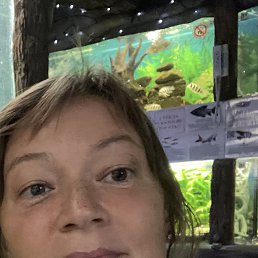 , 41, 
