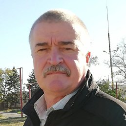  , 62 , 