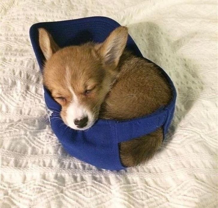 �������� ����� ��� ����, ����� ����������