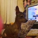 Фото Марк, Ростов-на-Дону, 58 лет - добавлено 13 сентября 2025