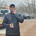 ���� ����, ����, 37 ��� - ��������� 16 ������ 2024 � ������ ���� ����������