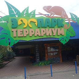 ���� �������, ������, 42 ���� - ��������� 9 ������ 2023