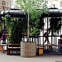  , , 66  -  23  2025    2025 