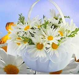 �����, �����������, 54 ����