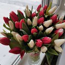 ���� �������, ������, 40 ��� - ��������� 9 ������ 2026 � ������ ���� ����������