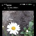 ���� ������ �� ���� ����, ������-��-����, 58 ��� - ��������� 17 ������ 2026 � ������ ���� ����������