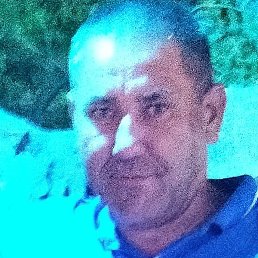 �������, ������, 49 ���