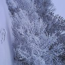 ���� ����, ������, 32 ���� - ��������� 27 ������ 2025 � ������ ���� ����������