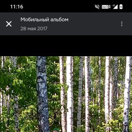 ���� �������, ���������, 52 ���� - ��������� 19 ���� 2026