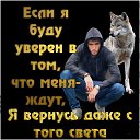 ���� �������, ������, 49 ��� - ��������� 11 ��� 2024 � ������ ���� ����������