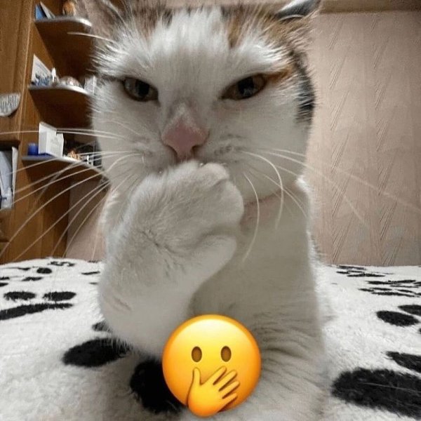 ����� ����� ������� ��?