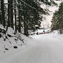 ���� ����� ����������, �����-���������, 46 ��� - ��������� 4 ������� 2026