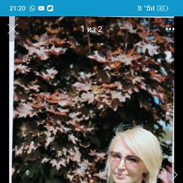  Viktoria, , 51  -  22  2025