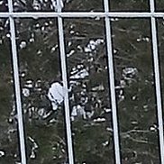 ������, 48 ���, ������