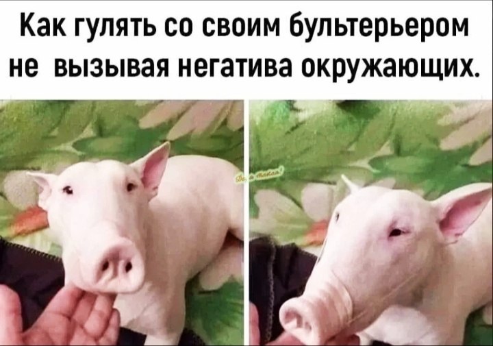 � - 10 ���� 2026 � 12:02