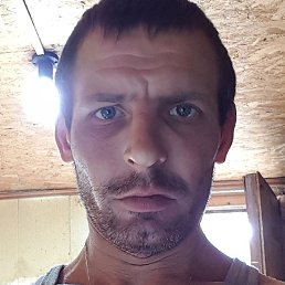 ������, ������, 36 ���