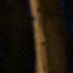 ����, �������, 28 ���