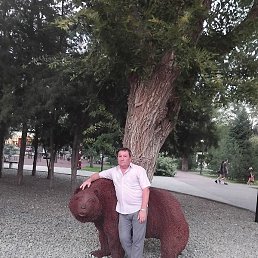 �����, �������, 60 ���