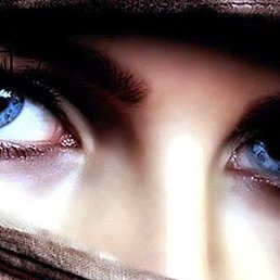 �������, ����, 51 ���