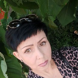 ��������, ������, 49 ���