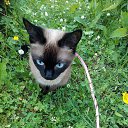 ���� �����, ����-��������� - ��������� 18 ���� 2024 � ������ ���� ����������