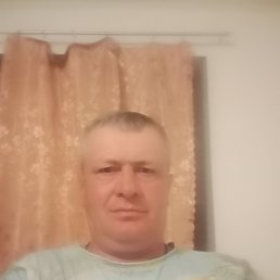 ���� ������, ��������, 46 ��� - ��������� 29 ���� 2026