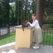 ������, 55 ���, ������