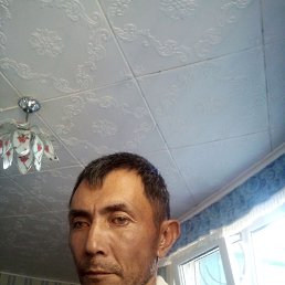 , 45 , 