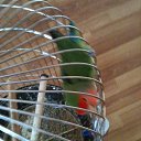 ���� ��������, ������������, 30 ��� - ��������� 7 ������ 2025