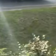 ����, 31 ���, ����