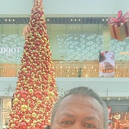 ���� �������, �������, 48 ��� - ��������� 28 ������ 2026