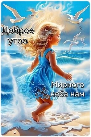   - 9  2024  09:15
