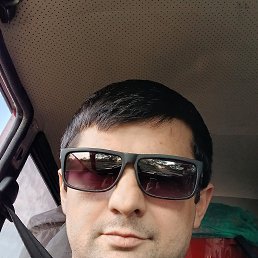 , 37, 