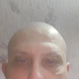 ����, 42 ����, ������