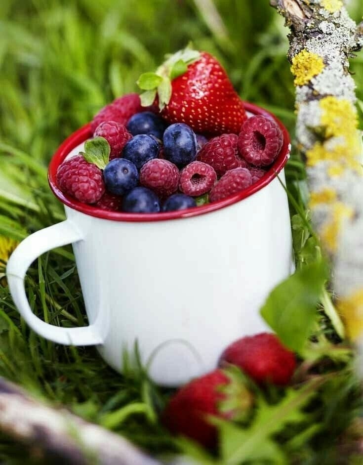 �a�o�o �o�po�o ��pa! ����� �������