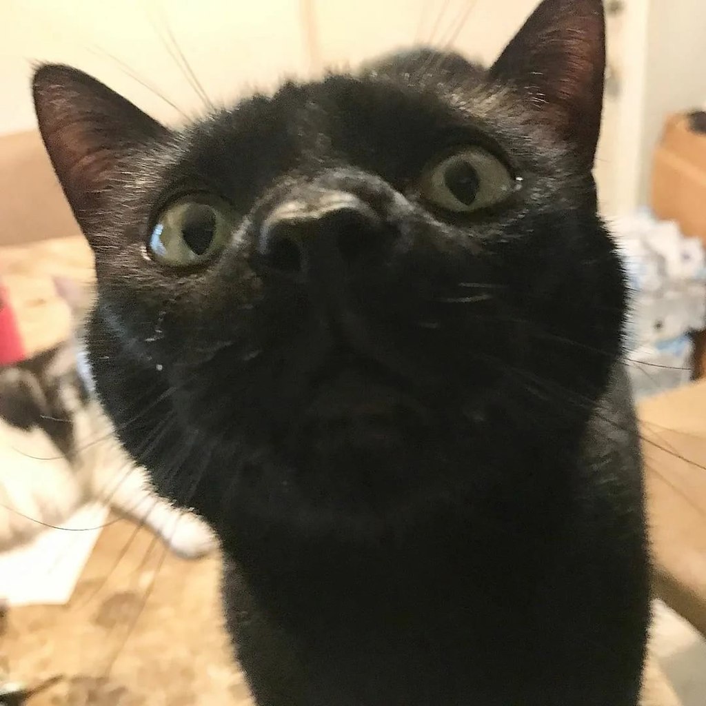 , 13-.  -   !