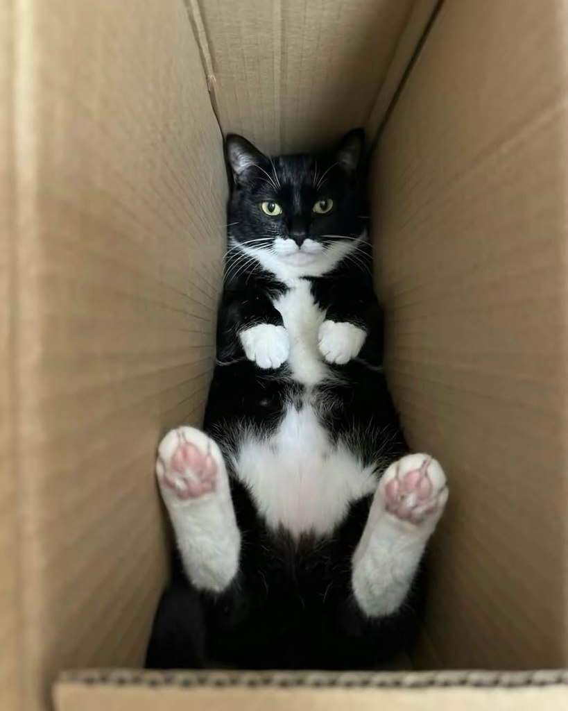 ������� ����������� �� ��������������� ������