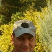 ������, 50 ���, �����������