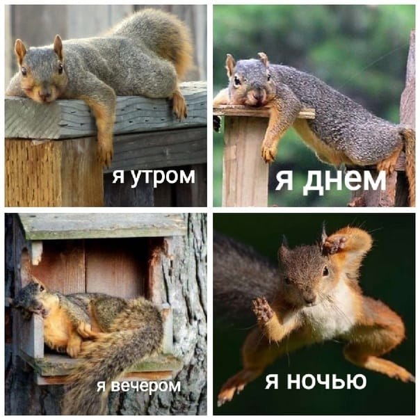 Ни убавить ни прибавить