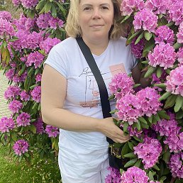 ���, ���������, 46 ���