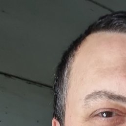 ����, ������, 45 ���