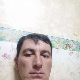 , 36, 