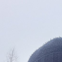 ��������, �����������, 43 ����