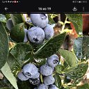 ���� �������, ������������, 49 ��� - ��������� 16 ���� 2026 � ������ ���� ����������