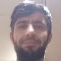 �����, ������, 37 ���