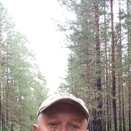 , 52, 