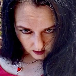 �����, �������, 44 ����